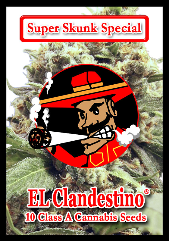 Super Skunk Special cannabis strain by El Clandestino